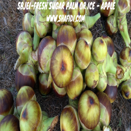 SBJEI-FRESH SUGAR PALM OR ICE -APPLE